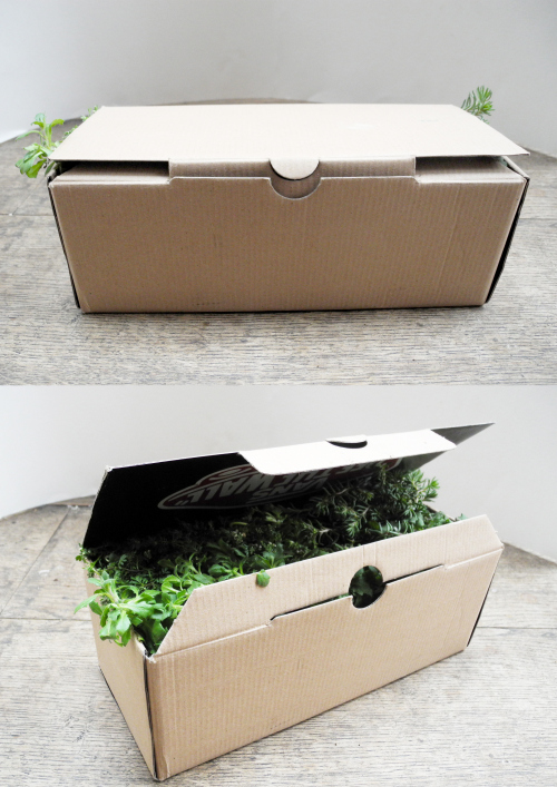 vans-plant-box